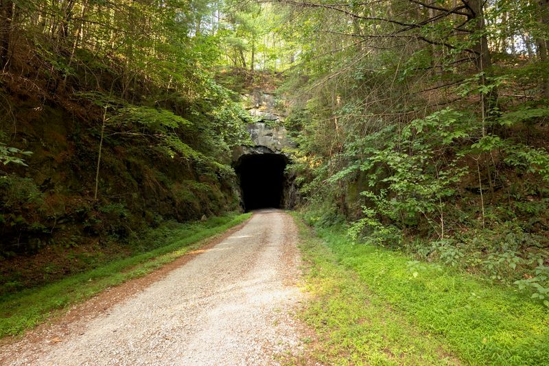 Giant Pine Trail at North Bend State Park, West Virginia
