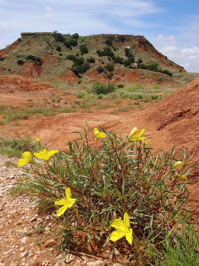 Gloss Mountain State Park, Fairview, Oklahoma Gloss Mountain State Park, Fairview, Oklahoma