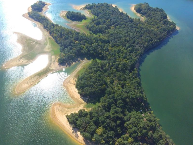 Goat Island: The Quirky Lakeside Attraction Nobody Expects