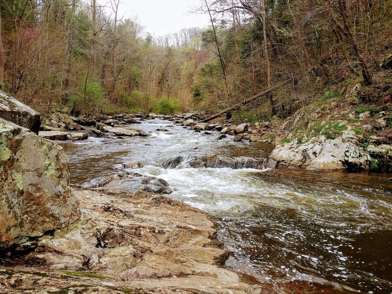 Gooney Creek, Front Royal