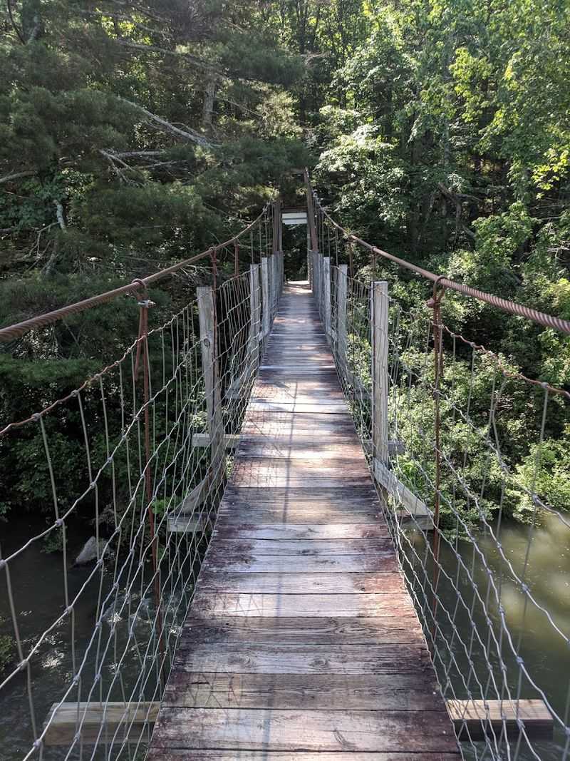 Goshen Pass Swinging Bridge, Rockbridge County