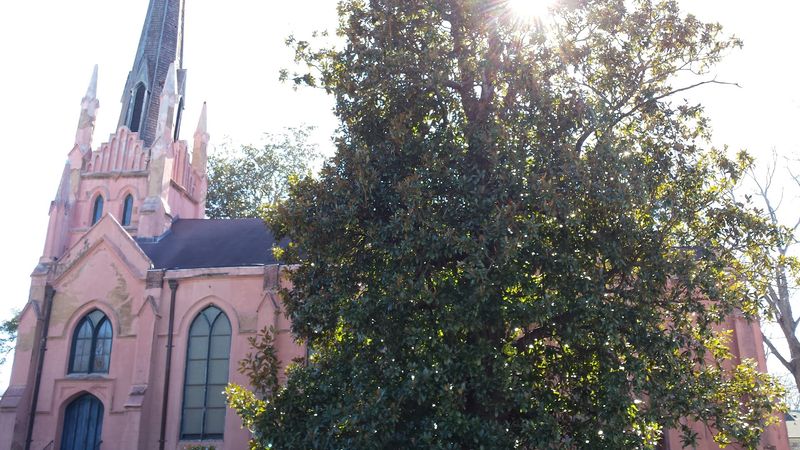 Gothic Revival Glory in the Middle of the Upstate