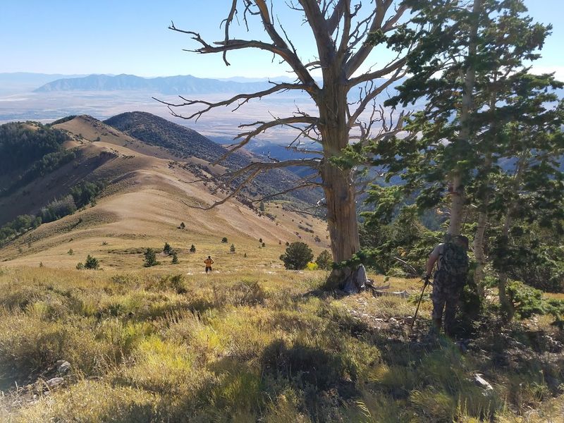 Grantsville Grantsville