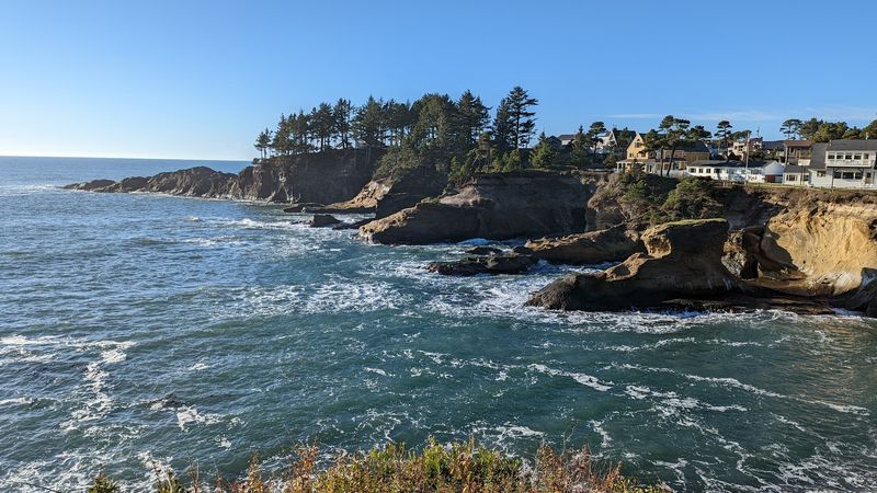 Gray Whale Watching From the Seawall