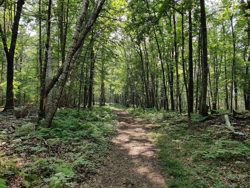 Great Bay National Wildlife Refuge, Newington