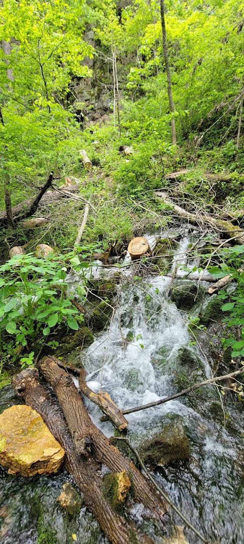 Greer Spring Is a Must-See Natural Feature