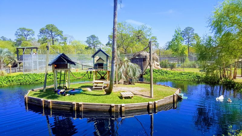 Gulf Shores Offers the Perfect Setting to Extend Your Visit Gulf Shores Offers the Perfect Setting to Extend Your Visit