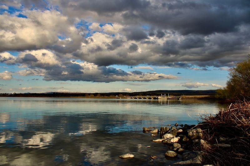 Habitat Loss Beneath the Reservoirs