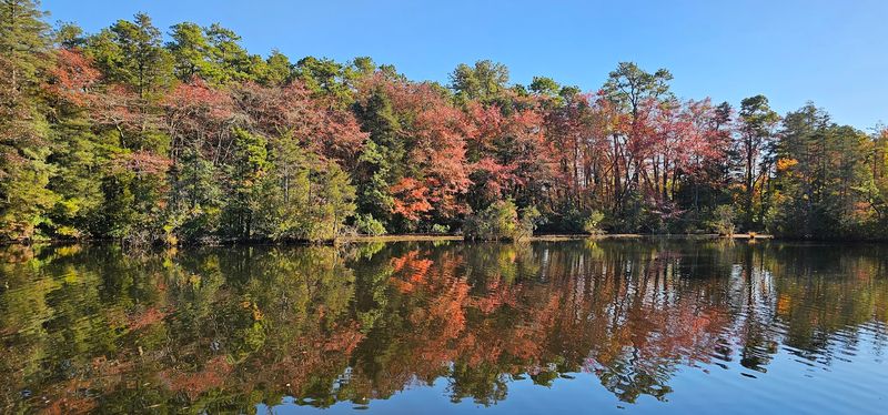 Hammonton Lake Park: More Than Just a Boat Ramp