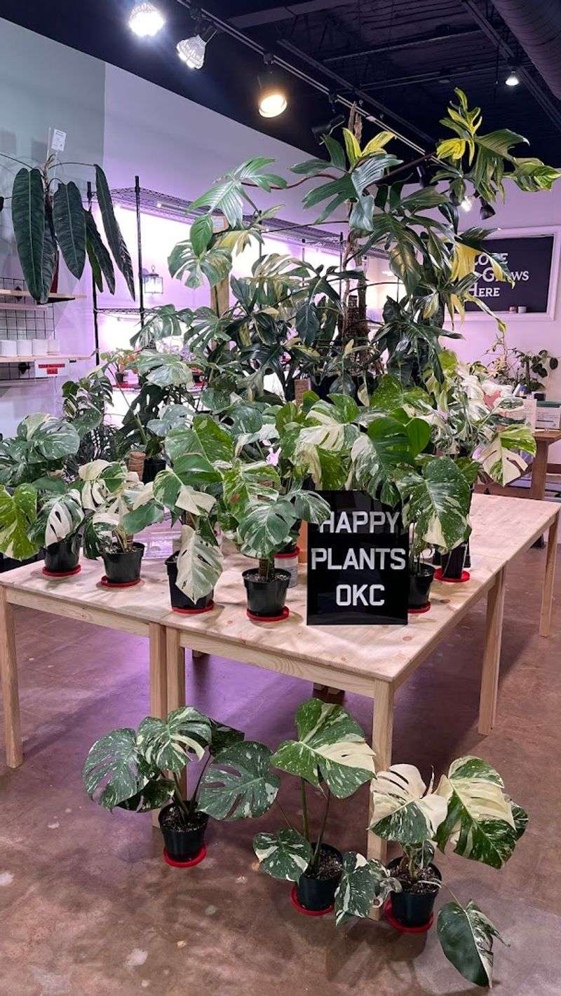Happy Plants OKC, The Village