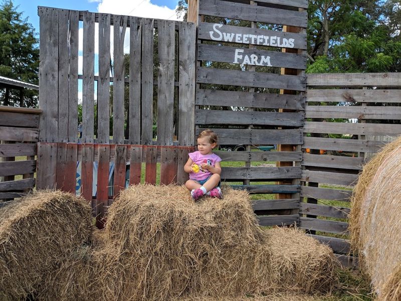 Hayrides That Show You The Full Heart Of The Farm