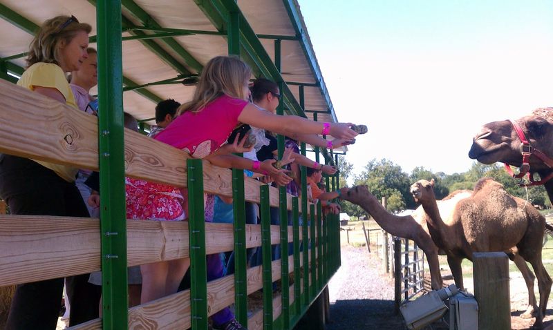 Hayrides Through a Living Landscape