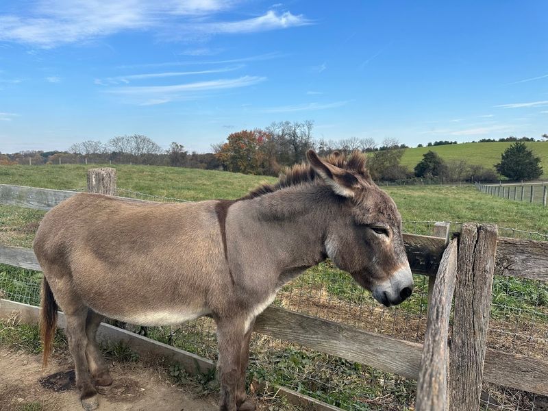 Hayrides and the Slower Side of Farm Life Hayrides and the Slower Side of Farm Life