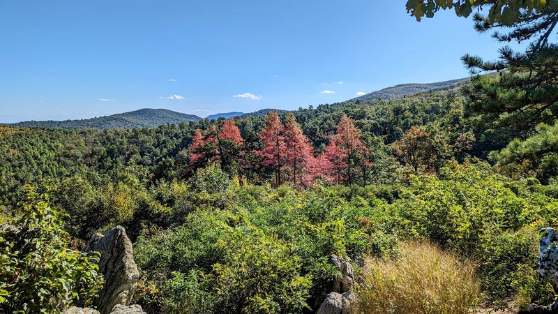 Hazel Mountain Overlook, Shenandoah National Park