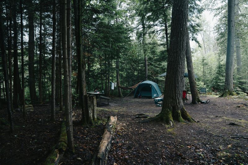 Heavier Pressure On Popular Campgrounds