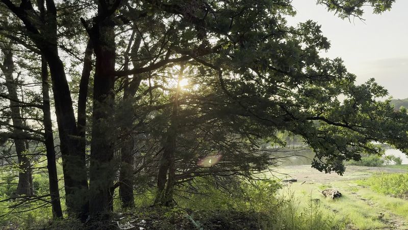 Hickory Creek Wildlife Management Area, Broken Bow, Oklahoma