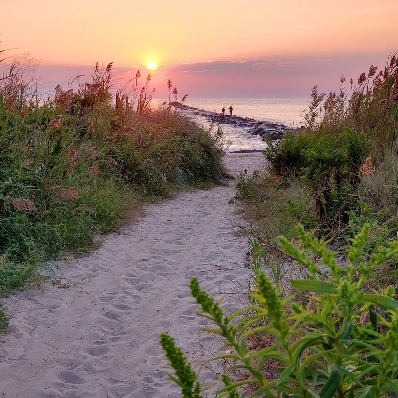 Higbee Beach Wildlife Management Area, New Jersey