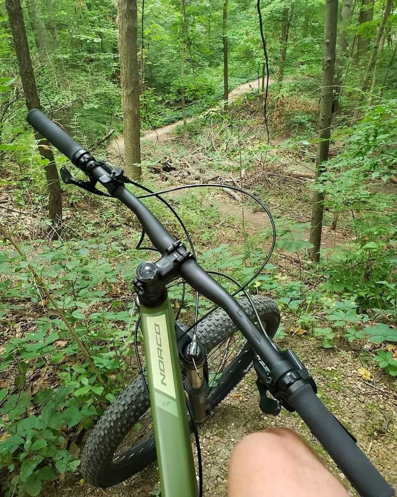 High-Speed Descents That Get Your Heart Moving