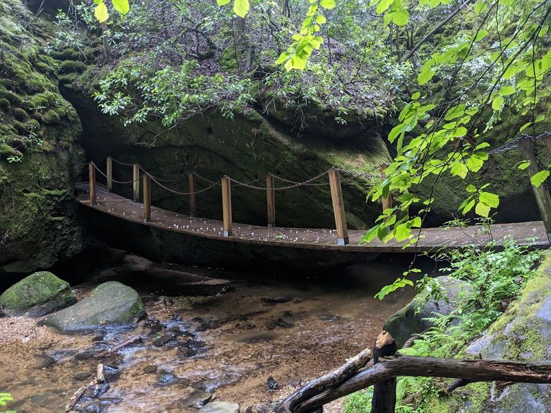 Hike a Scenic Trail Through a Sunken Forest With Waterfalls and Swinging Bridges