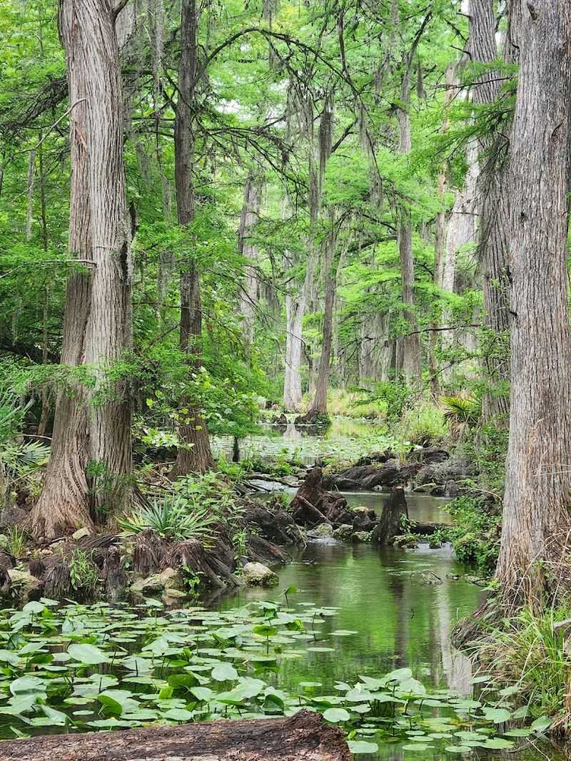 Hiking Honey Creek in May, What You Should Know First Hiking Honey Creek in May, What You Should Know First