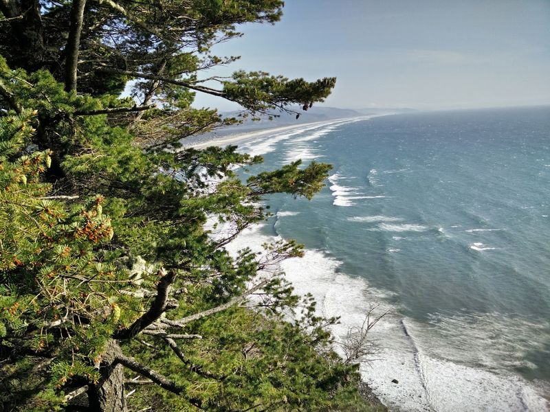 Hiking The Clatsop Loop And Coastal Trails Nearby