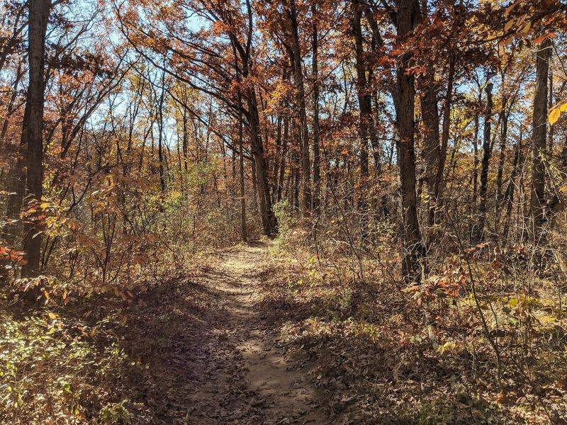 Hiking Trails Built for Every Kind of Adventurer