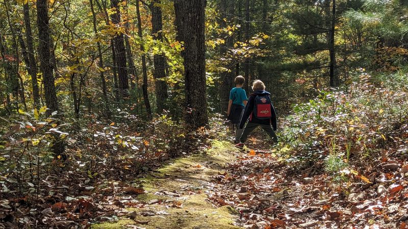 Hiking Trails That Connect the Whole Mountain Experience
