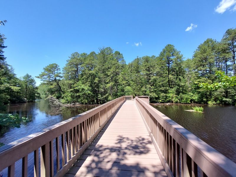 Hiking Trails That Feel Like a Different World