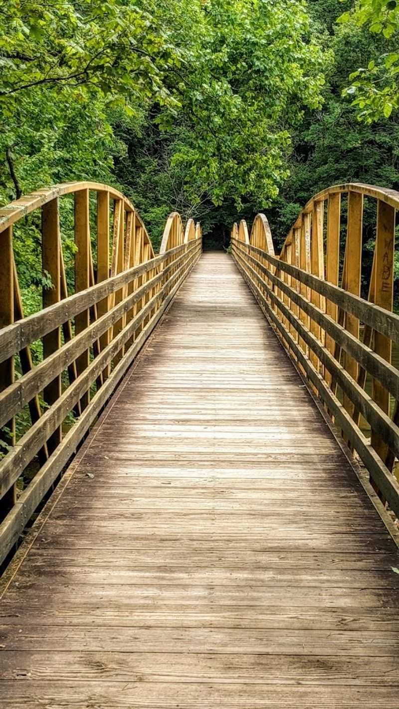 Hiking Trails That Reward Every Skill Level