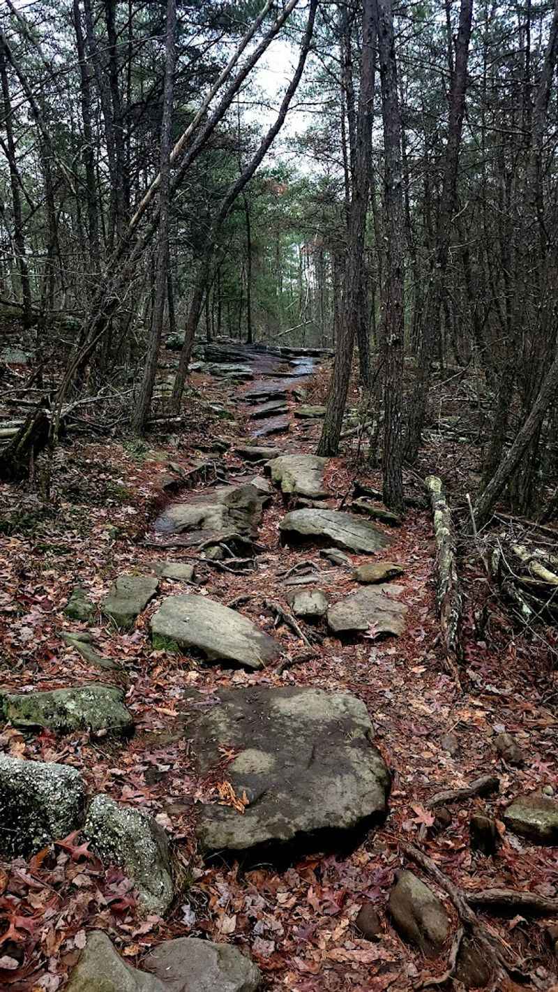 Hiking Trails for Every Skill Level