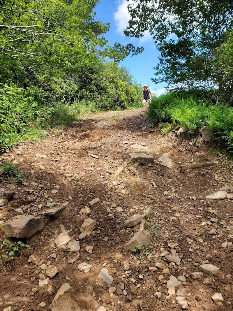 Hiking and Biking Beyond the Summit