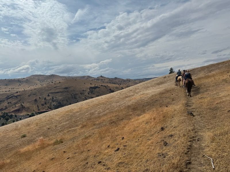 Hiking and Biking Trails Across Stunning Desert Terrain