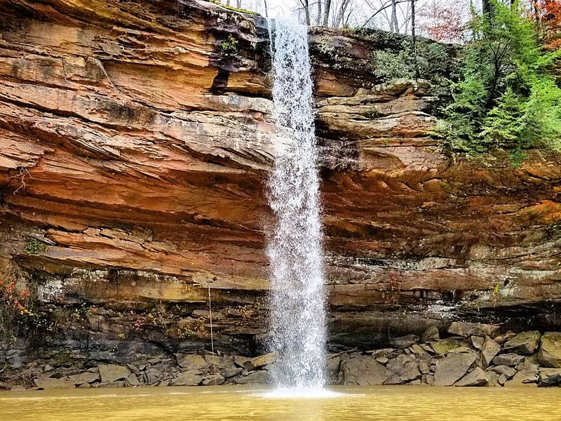 Hiking and Waterfalls in Bankhead National Forest Hiking and Waterfalls in Bankhead National Forest