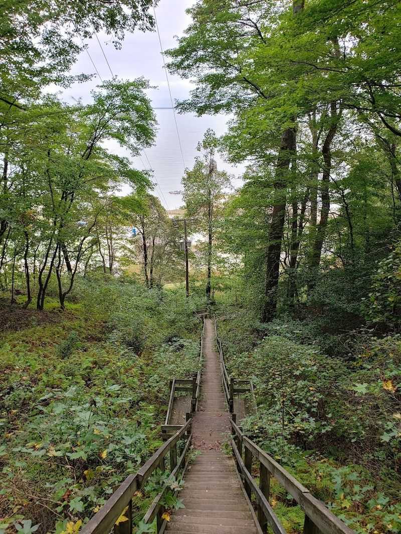 Hiking the Full Trail Network Beyond Fossil Beach