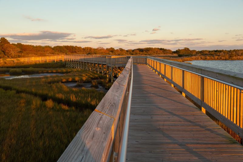 Hiking the Nature Trails Through Marsh and Forest