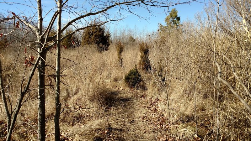 Hiking the Rustic Trails Without Overthinking It