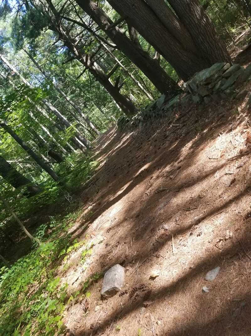 Hiking to the Site: What the Trail Actually Feels Like