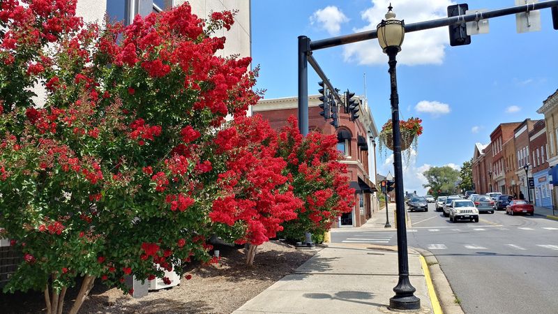 Historic Centertown Bedford: Small-Town Charm With a Serious Personality