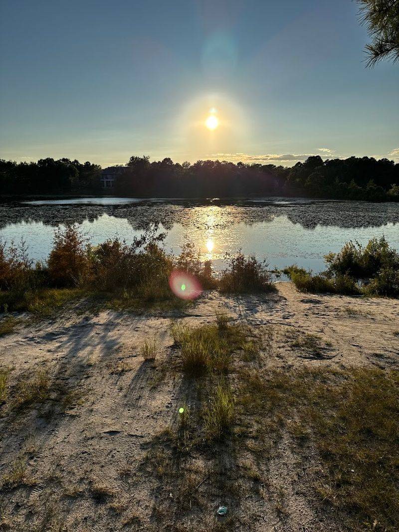 Historic Cranberry Bogs: New Jersey's Agricultural Past on Display