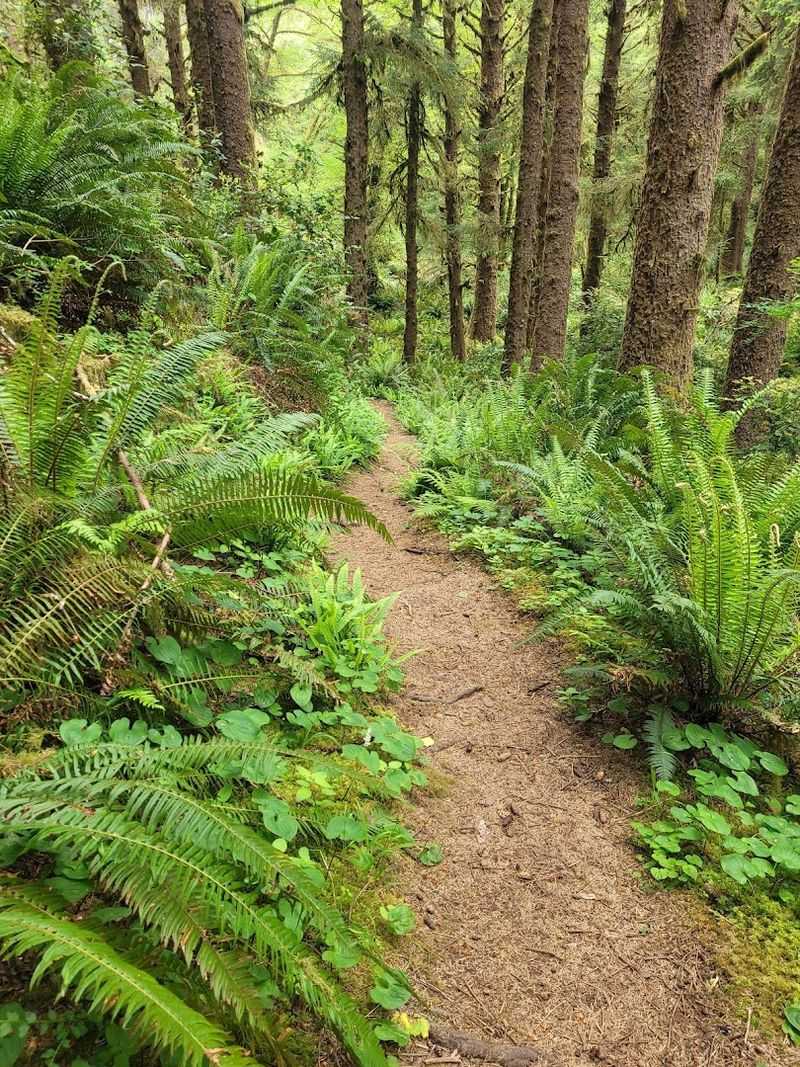 Hobbit Beach and the Trails Nearby
