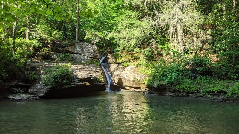 Holly River State Park / Shupe's Chute