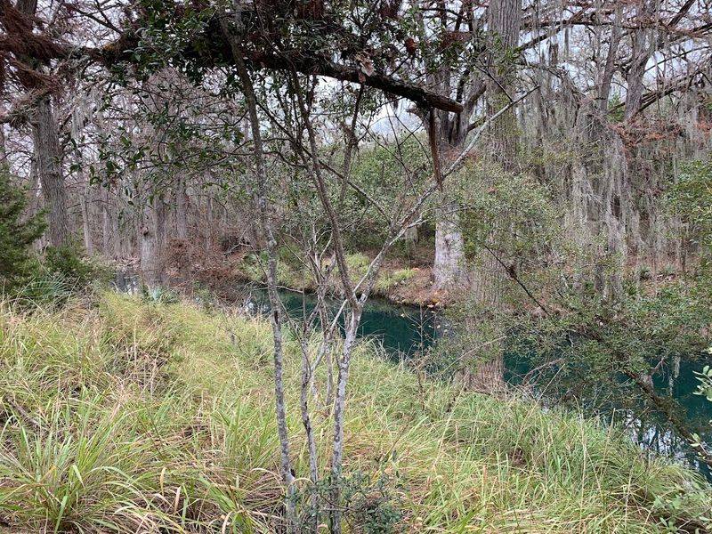 Honey Creek Itself, the Heart of the Whole Hike Honey Creek Itself, the Heart of the Whole Hike