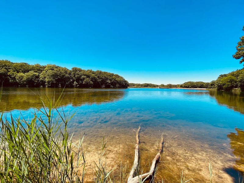 Hooks Creek Lake