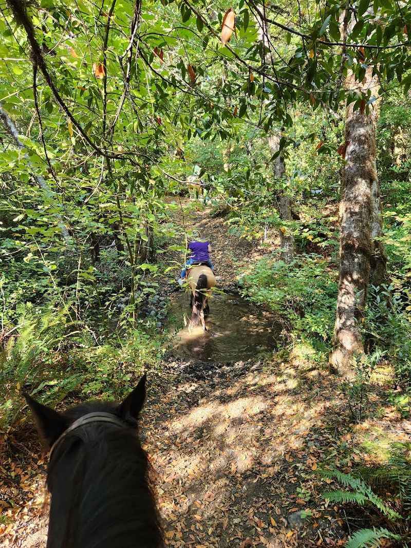 Horseback Riding Through the Siskiyou Countryside