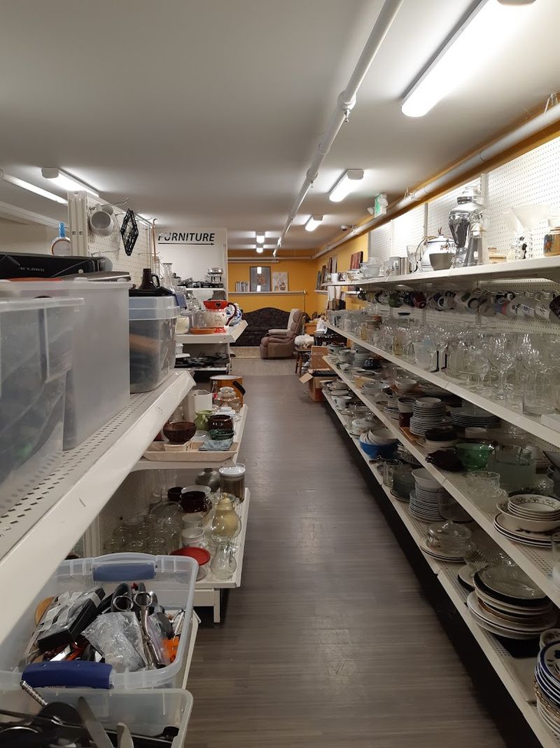 Housewares and Small Electronics Worth Hunting For