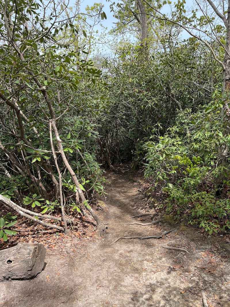 How Difficult Is The Hike, Really