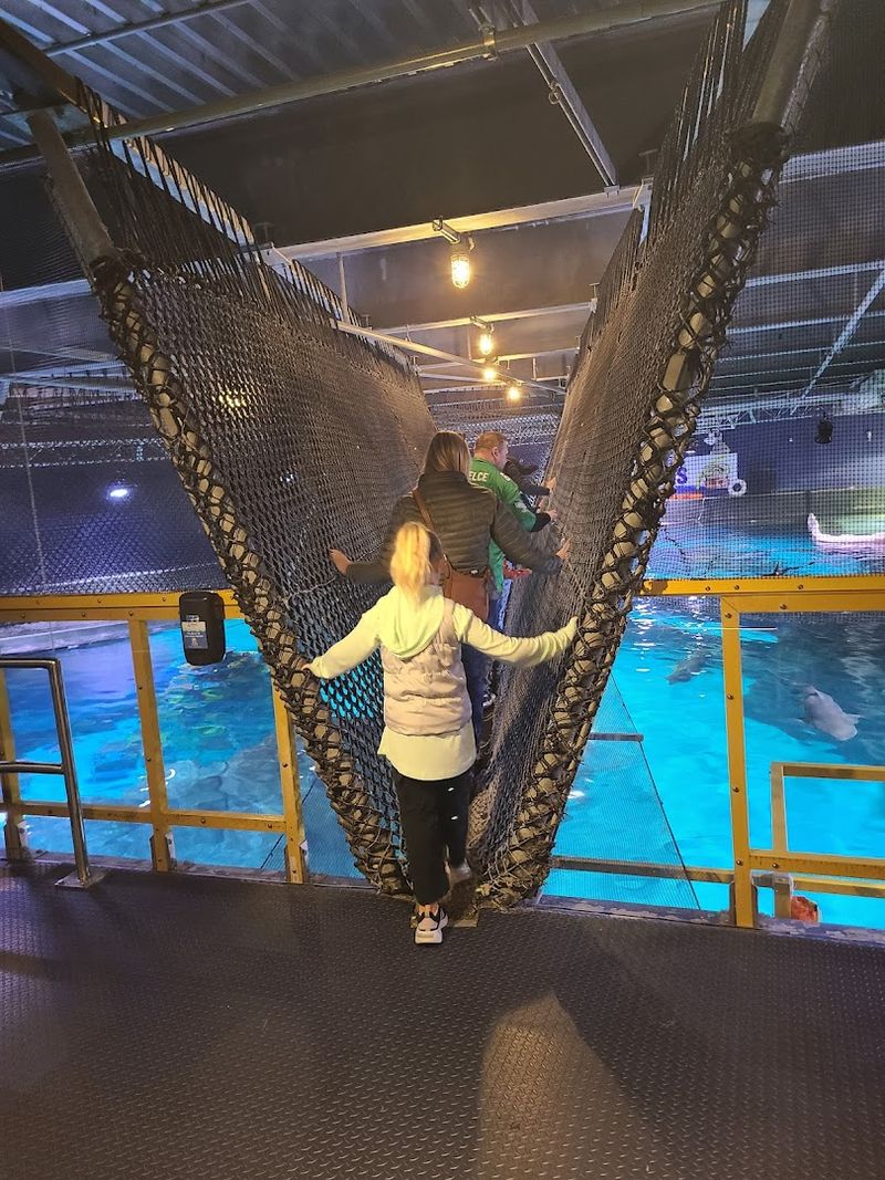 How the Bridge Actually Feels to Walk