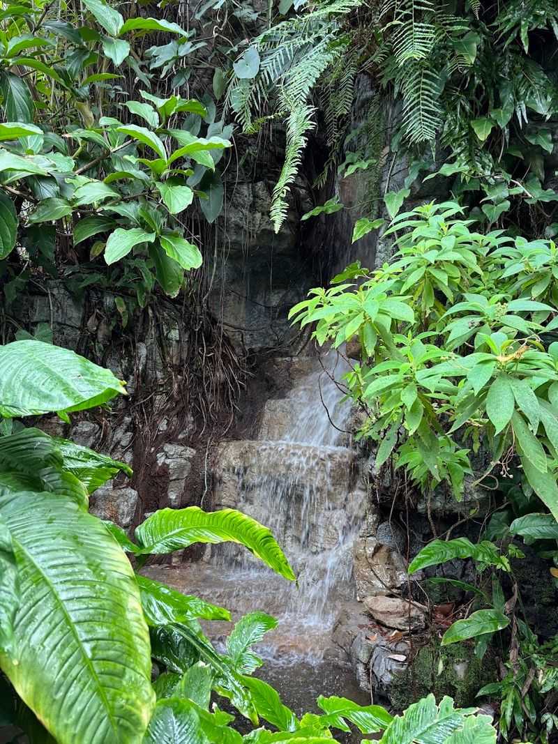 How the Tropical Climate Is Actually Maintained