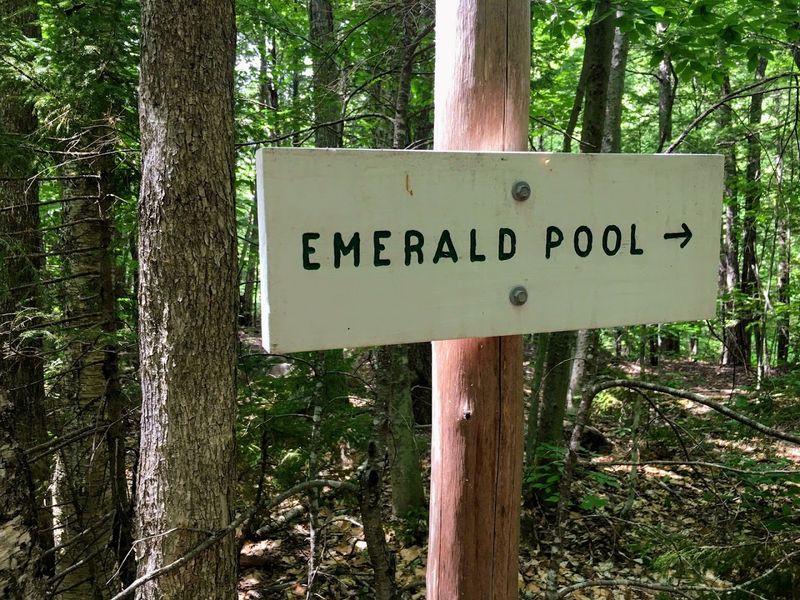 How to Find Emerald Pool and Make the Most of Your Trip