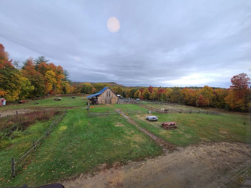 How to Find Heritage Farm Pancake House and Plan Your Visit